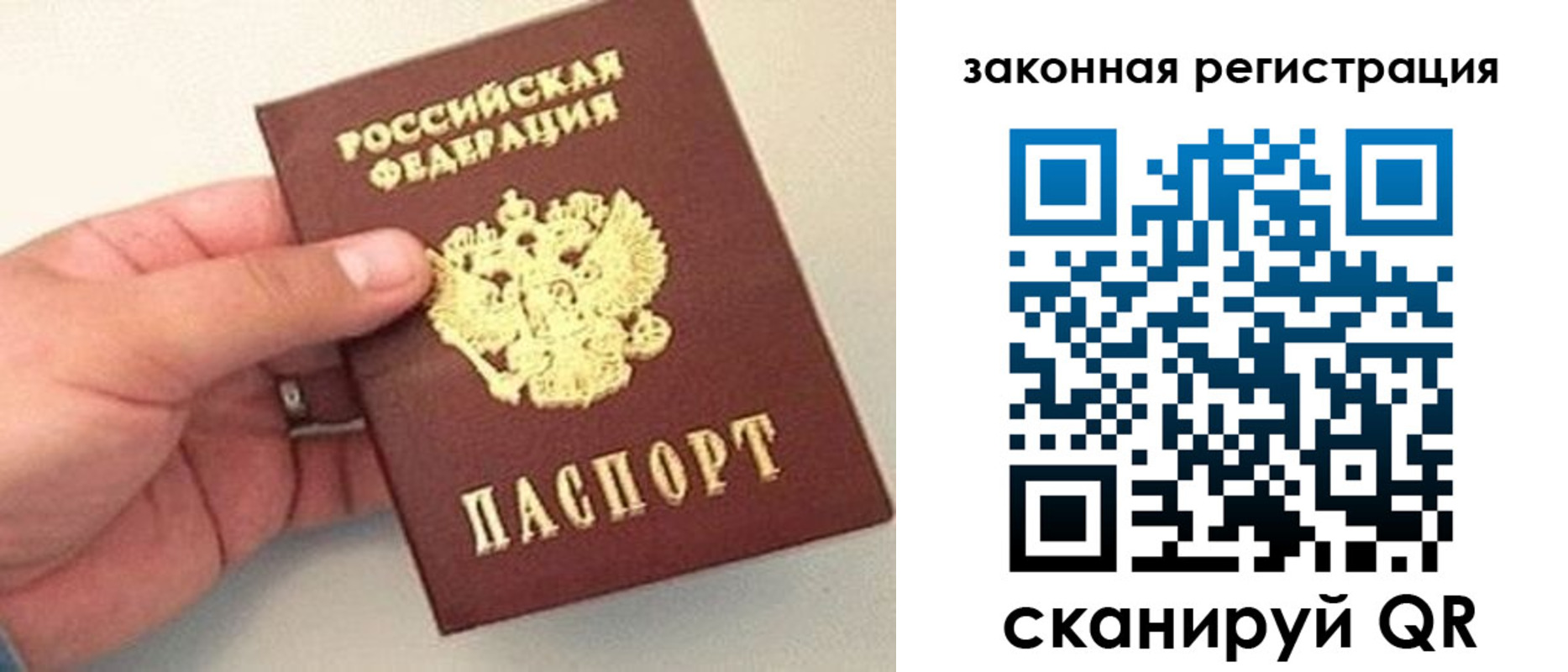 прописка для школы в Струнино